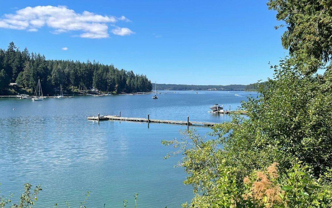 Best Hiking Trails In & Around Bainbridge Island, WA
